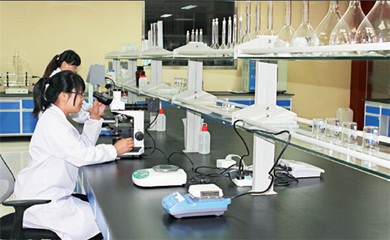 英科醫療再獲麥克森大獎，引領醫療器械互聯網信息服務新篇章